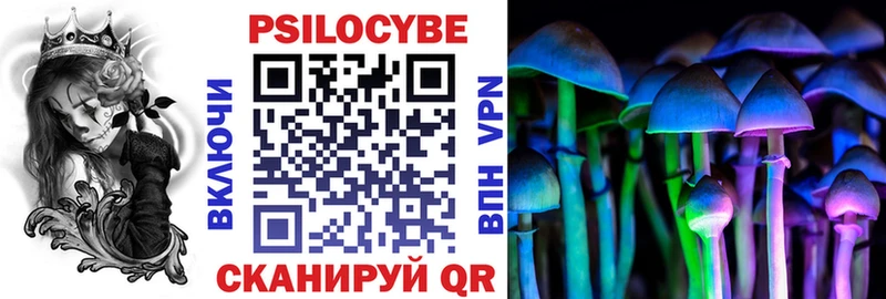 Галлюциногенные грибы Cubensis Купить закладки Ростов